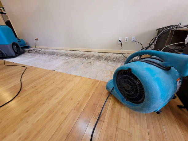 Professional Water Damage Repair technician working in La Rue, OH